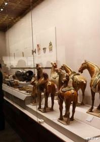 钱币|几十年后什么种类的藏品收藏价值比较高？