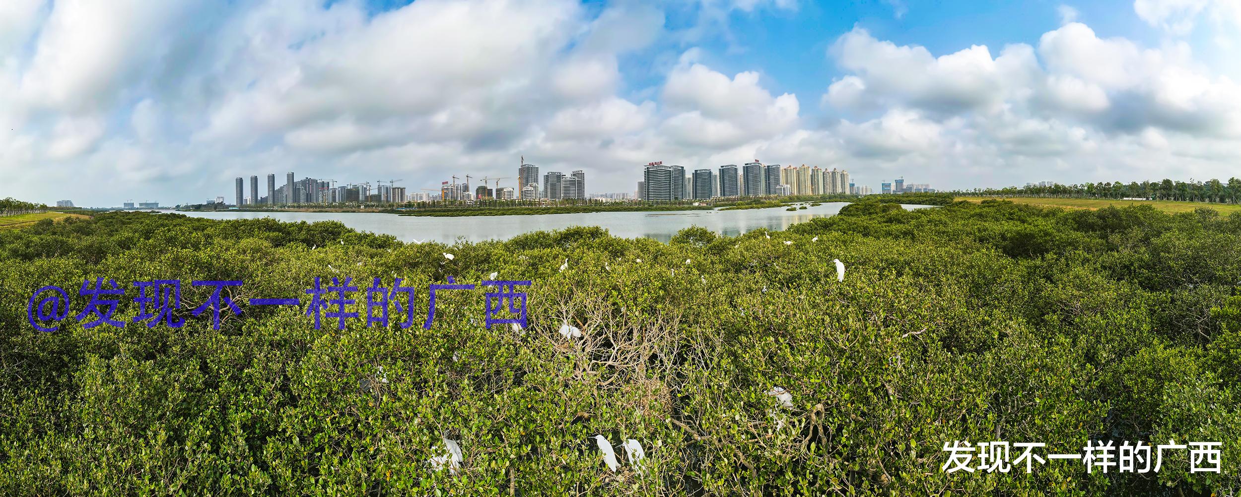 发现不一样的广西 在北海，第一次看到这么美的一个公园！