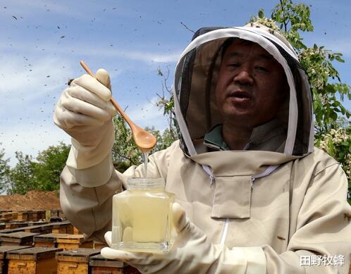 田野牧蜂|蜂蜜泡枇杷果可以长时间保存吗? 枇杷果加蜂蜜的功效?