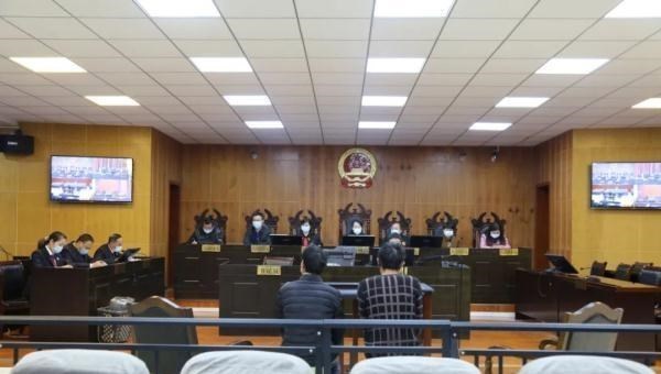 非法捕捞|非法捕白条鱼87条，被判河边“一年游”，钓鱼人对这结果满意吗？