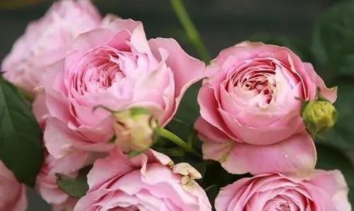 甜甜的句子我还没想好|未来一周，好运来袭，收入上涨，正财入门，生活富贵，运气贼棒