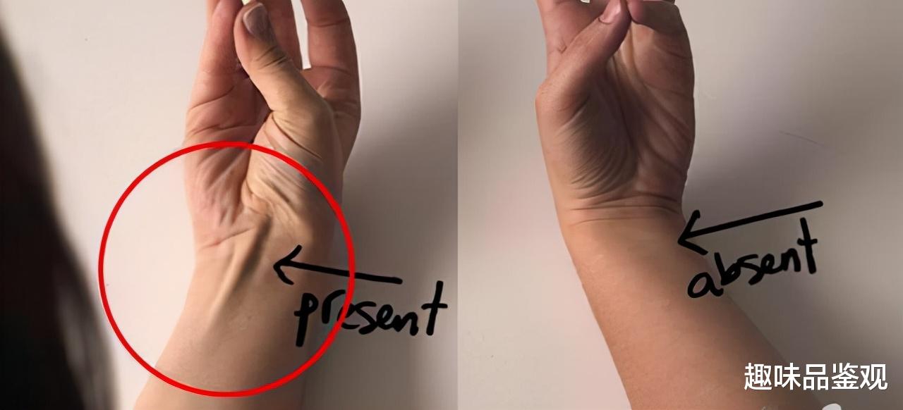 科学家 科学家发现人类正在加速进化，这意味着什么？一些特征已出现