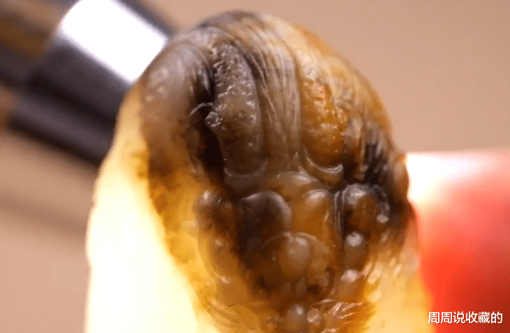 钱币|雕刻师如何使用俏色，镂空技艺，去挽救一块带僵的和田玉籽料