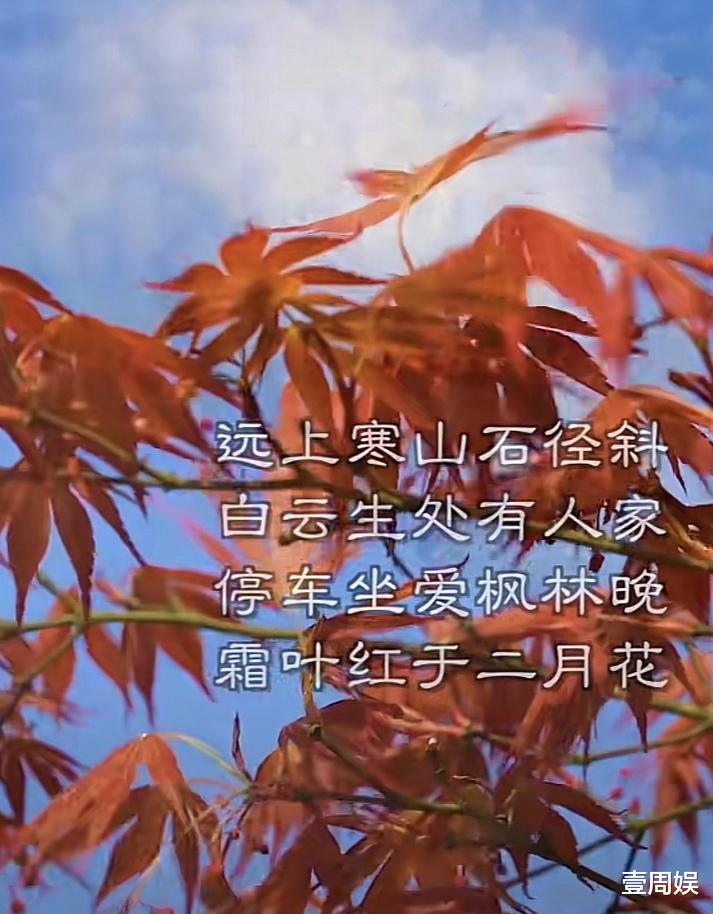 李亚鹏|李亚鹏在山间吟诗作对，还用汤勺吃柿子，网友：好尴尬的样子！