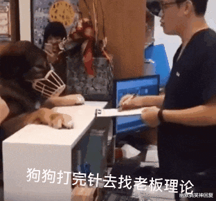 幽默搞笑神回复|神回复：“新买的被子，这两根带子干什么用？”网友：懂了吧？