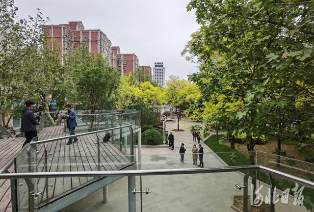 河北新闻网 河北石家庄：游园换新颜