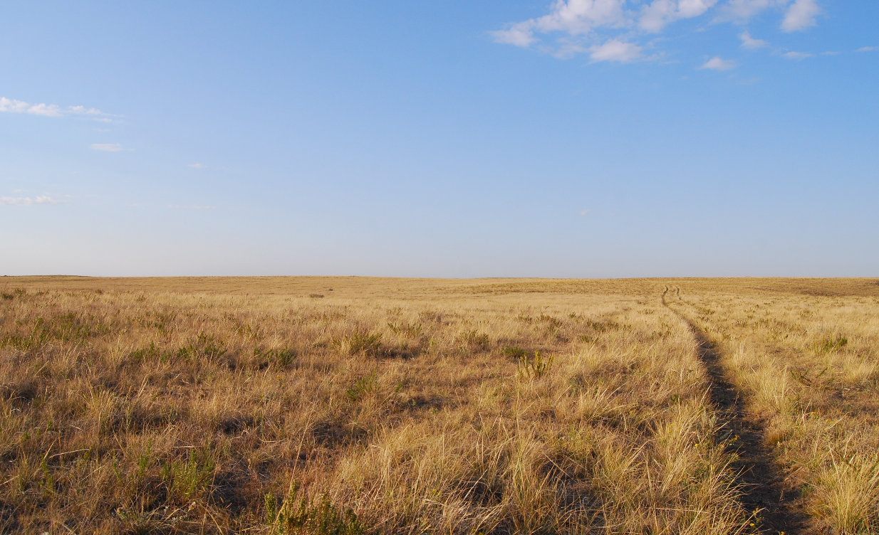 星座叶大仙|把阳光带给别人，自己只剩孤独的星座，宁愿心里哭，也要在脸上笑