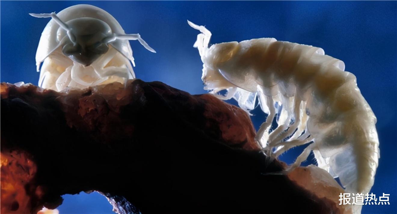 外星人 难道外星人真的存在?专家进入550万年前洞穴,人类生命认知被打破