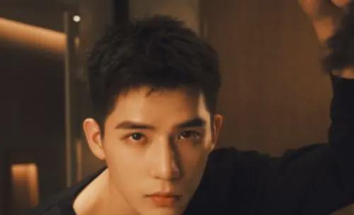 许魏洲|小八卦，王安宇，李一桐，李宏毅，许魏洲