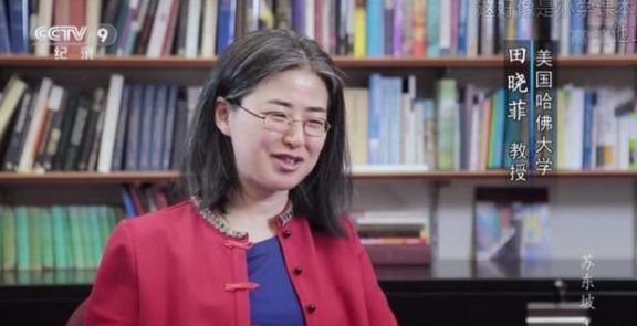 国籍|22年前北大才女田晓菲，弃国籍嫁大25岁美国老头，如今怎么样了