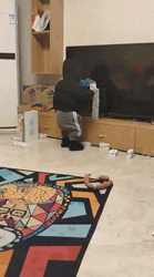 |网友分享“奇葩”相亲男，这条件比简历还要详细，哈哈哈哈