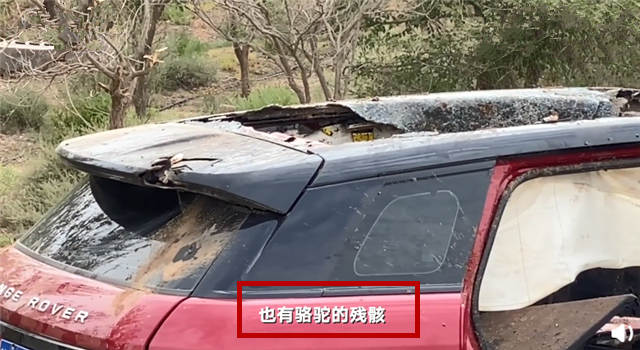 车祸 于月仙车祸现场细节公开，四人中只有她遇难，媒体曝出致命原因