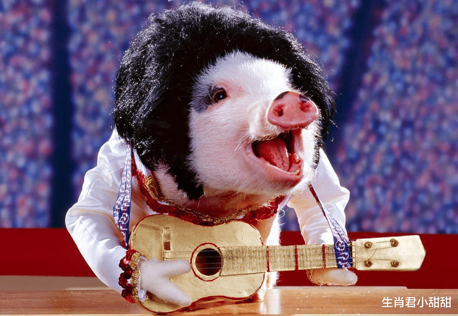 策马|12月17号到27号,属猪人遇贵人帮扶,在职场策马奔腾