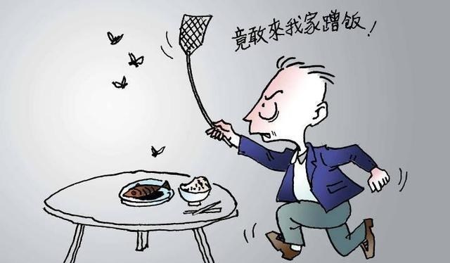 科学家 苍蝇总是「搓手」?更奇葩的是苍蝇从吃到拉仅用10秒左右