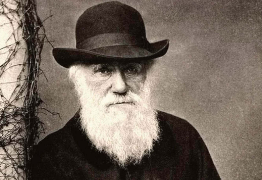 航天员 地球上本没有人，人类从何而来？第一个诞生的人是男人还是女人？