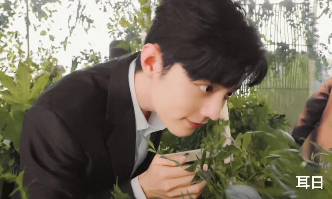 王祖贤|肖战小表情猛增，长达几年未见，与禁哥对比鲜明，是被宠溺的结果