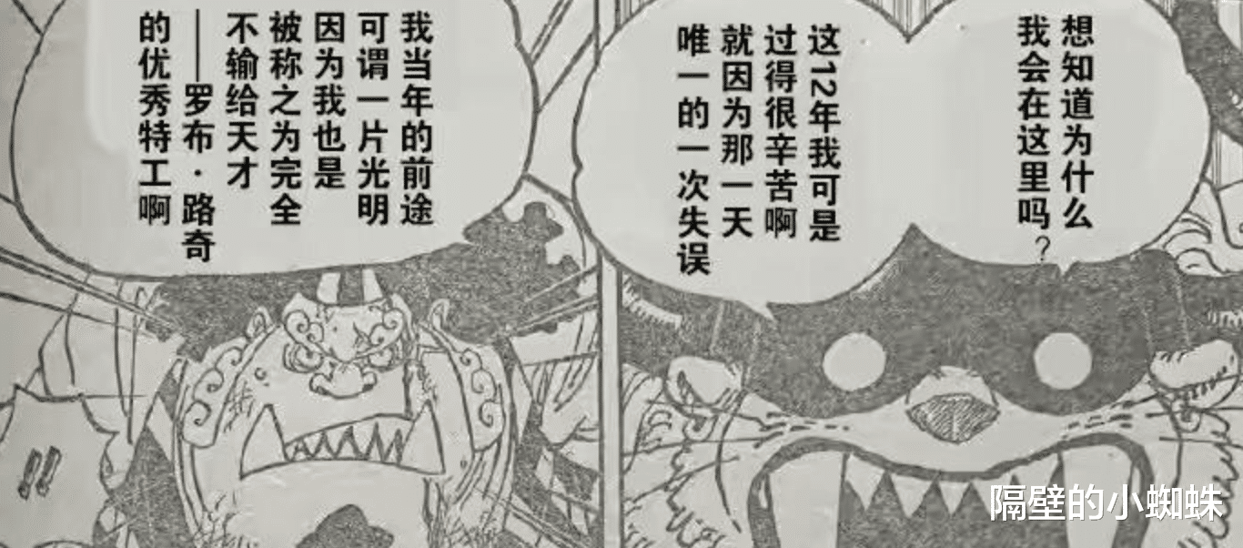 海贼王|海贼王，尾田埋了1000话的伏笔公布，“橡胶果实”有巨大秘密