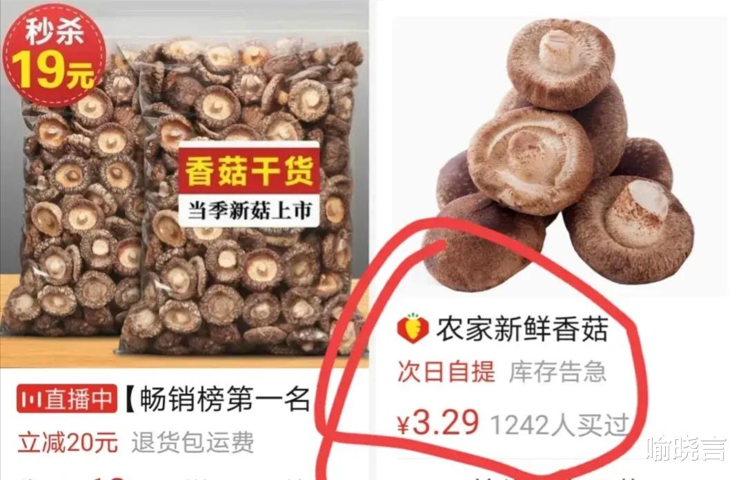 喻晓言 吃不起菜问题很严重,菜价乱象该休了!