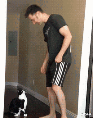 “女神约你但你穷,该如何委婉的拒绝?”哈哈哈评论精神富足!