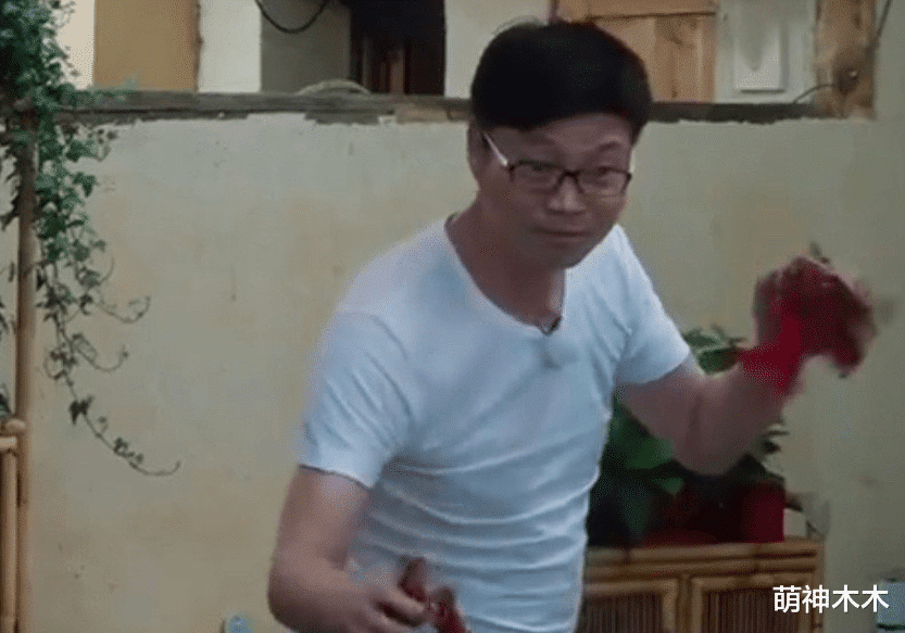 黄磊|《向往》黄磊多次口无遮拦，嘴毒程度堪比那英，连张子枫都没躲过