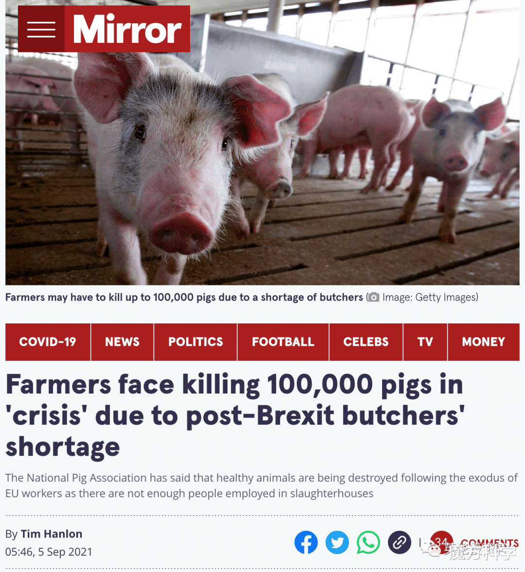 英国|还能吃什么？英国或将禁食龙虾、螃蟹，原因：它们有知觉，会痛
