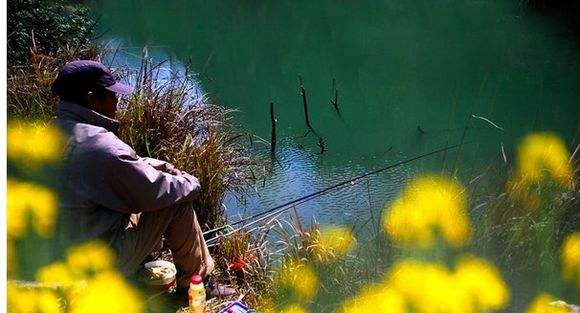 |钓鱼就是“战争”，钓鲤鱼要防守，钓草鱼需进攻，好多人都弄错了