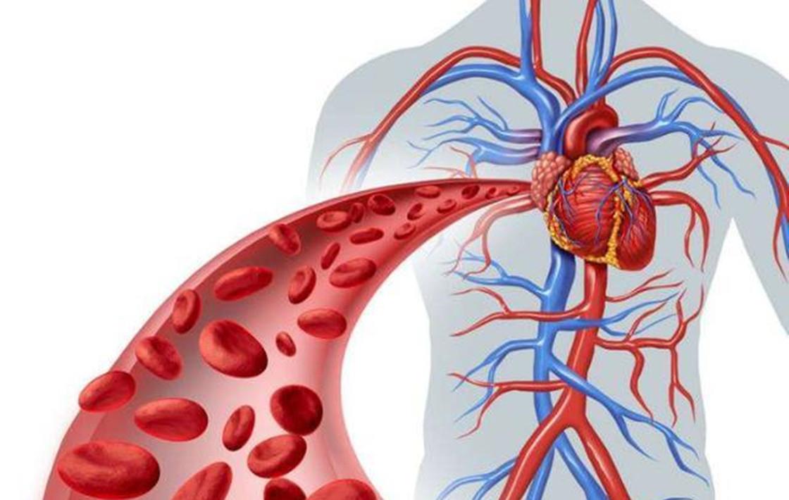 |人类离不开盐，动物难道不需要盐分吗？原始人又如何获得盐分？