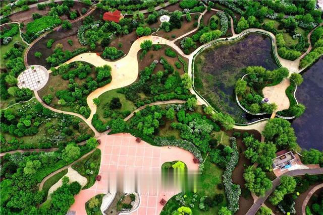 哈尔滨新闻网 好多美图｜景美人少不堵车，香坊10个免费大公园五一来逛逛