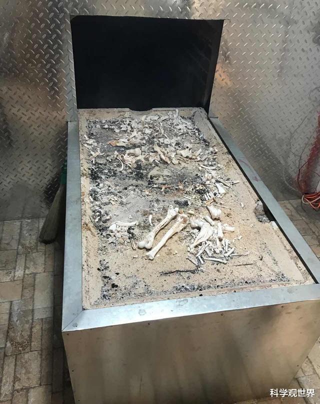 小行星 人在火化时身体会经历什么，烧完之后人体的基因还存在吗？