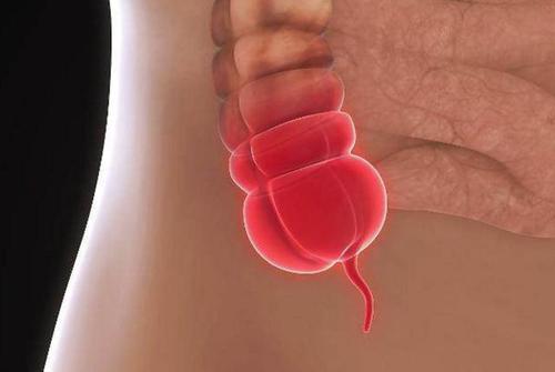 舜网 人类“多余”的10个部位,增进你对人体的了解