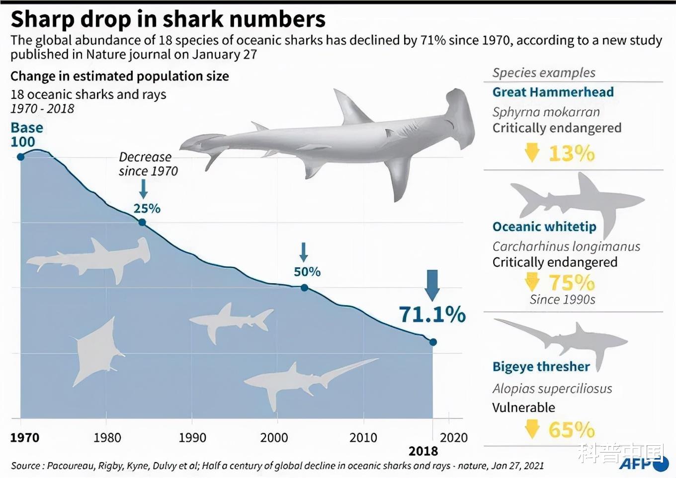  什么？四分之三的鲨鱼物种濒临灭绝？对人类也有极大威胁