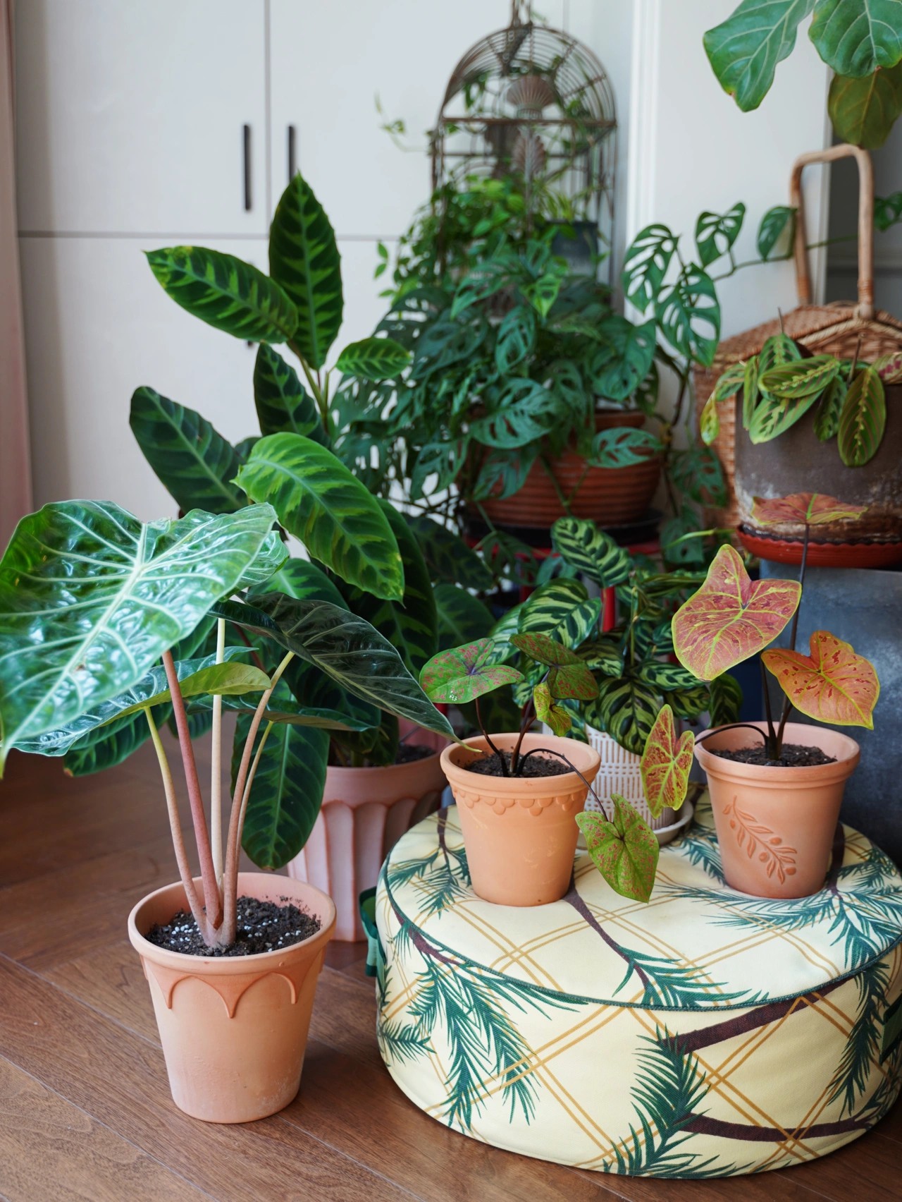 买这房子，就是看上这个40㎡的院子，改造后美得像一幅四季风景画