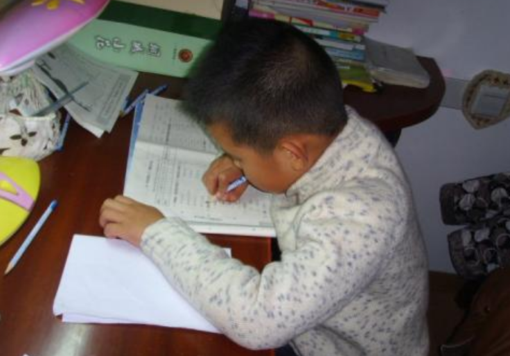 社情汇编 江西一单亲男孩跳楼自杀，家长质疑与作业有关，校长称和学校无关