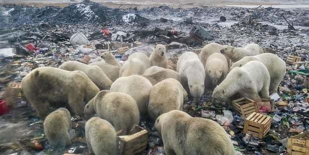 尼古丁 比尔盖茨预言：人类将面临另一个危机，威胁全球，比病毒还难对付