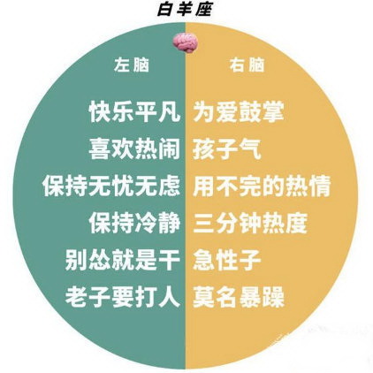 奇怪小女儿|十二星座的左右脑构成