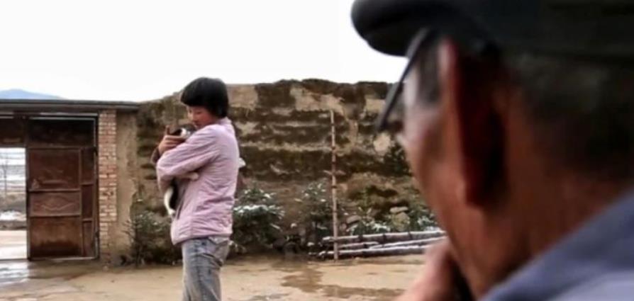 王晨正|变形计最苦的善良爷爷:早年丧妻,老年丧子,晚年丧孙