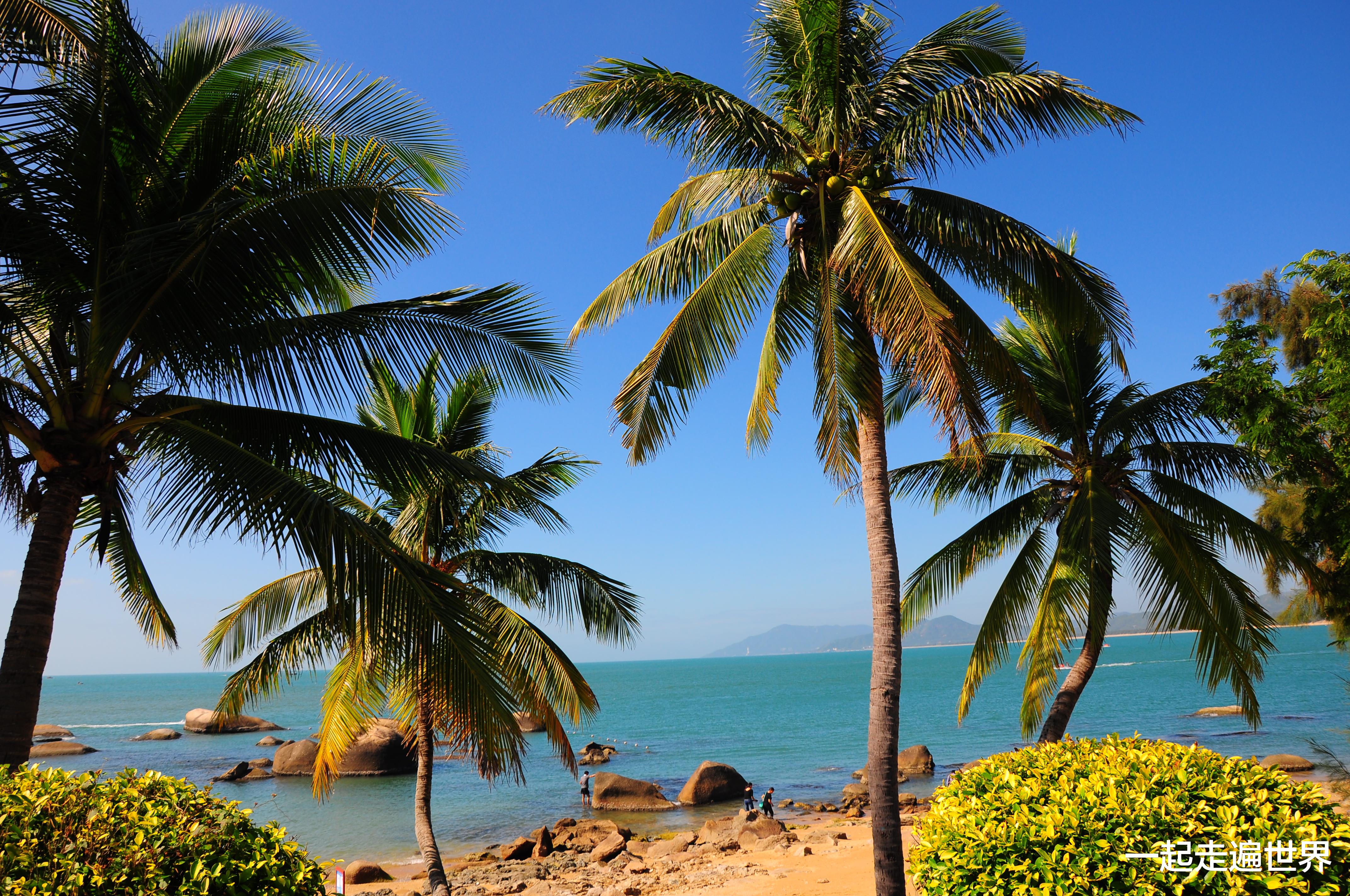 三亚 三亚海胆事件，会不会出现“大反转”？