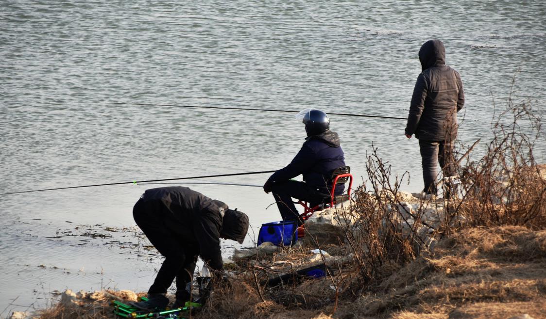 |作为野钓老手,如果连这3个问题都没弄懂,钓鱼始终是一门玄学