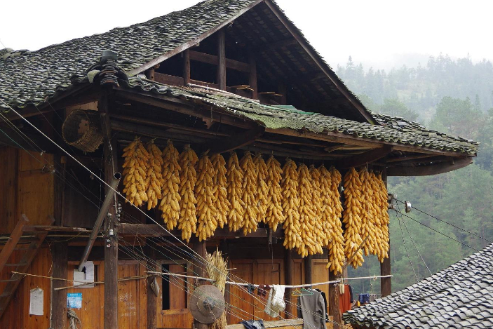 黔东南 黔东南一苗族村寨走红，距凯里市仅29公里，被赞“民族村鼻祖”