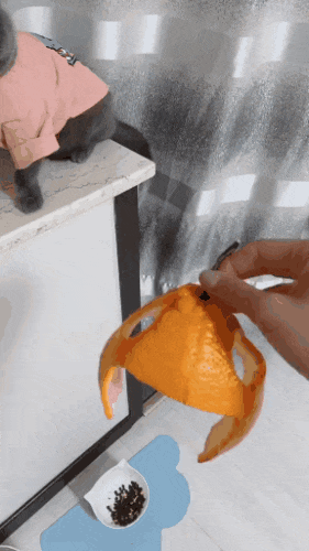 发型|神回复：我想换这个发型，我要怎么跟托尼老师说？