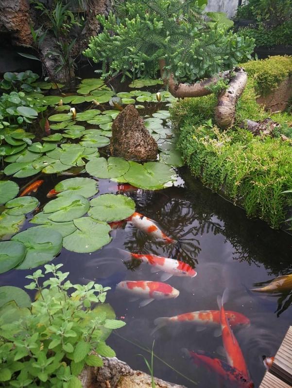 为了露台他买下顶楼,一番大改后过上了田园生活,让人羡慕!