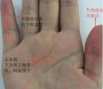玄何师傅讲命理 手有“三角纹”的人，百年一遇，定是人中龙凤，早晚能成大器