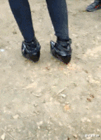 翻译|神回复：18年前自己写的，现在不知道是啥，来个皇家翻译