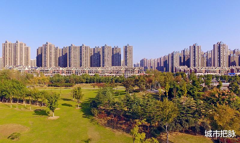 城市把脉 安徽：在江苏浙江上海3棵大树遮盖下，我只有这样才能看见苍穹