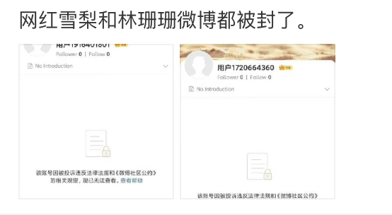 雪梨|继禁言后雪梨林珊珊再被封号，此前因偷税漏税被处罚，共计9000万