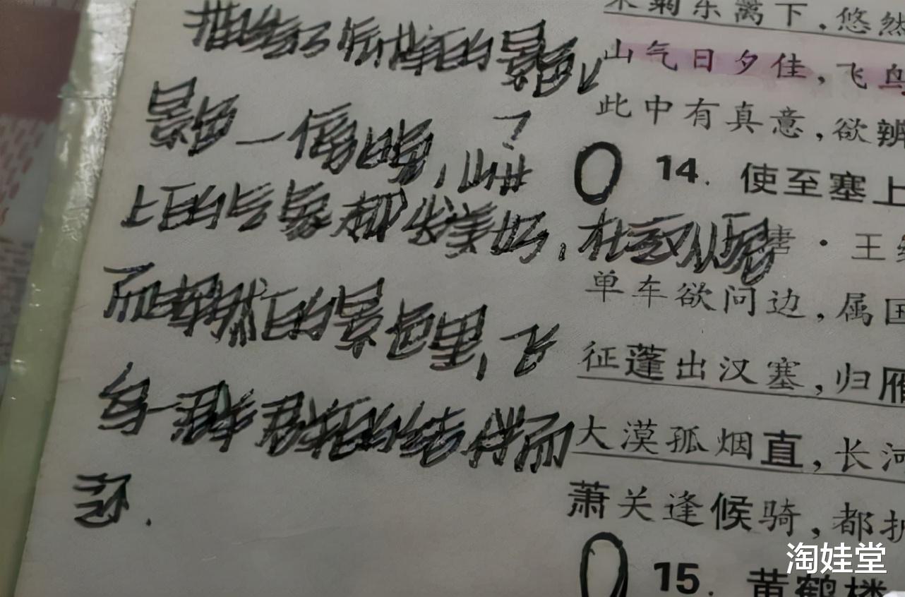 淘娃堂|\＂奶酪体\＂流行中小学，笔迹清晰仍要被老师扣分，网友：并不委屈