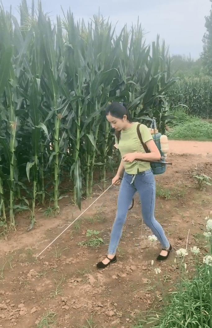 小梦情感故事 “妈,我离婚了,没有地方住,想搬回来住” 这位母亲的回答,给所有婆婆提了醒。