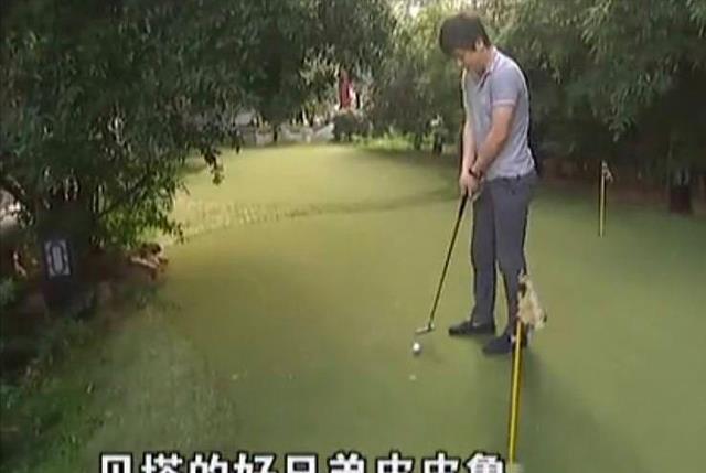 富二代|我要嫁豪门，我容貌不输明星，7年前火遍全网的相亲女如今还好吗