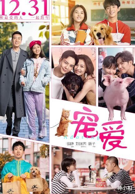 龚俊|盘点十部拼盘电影，是导演无能还是在糊弄观众，这种电影应该叫停了