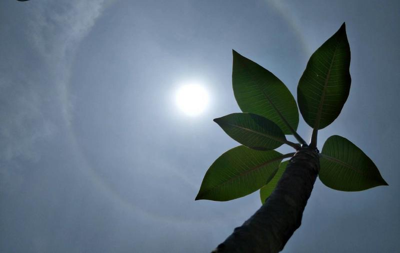 羊城派 打开 好靓，炫目“日晕”刷屏朋友圈！专家有重要提醒